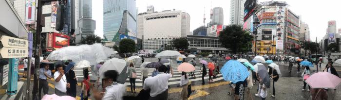 Shibuya Crossing.jpg