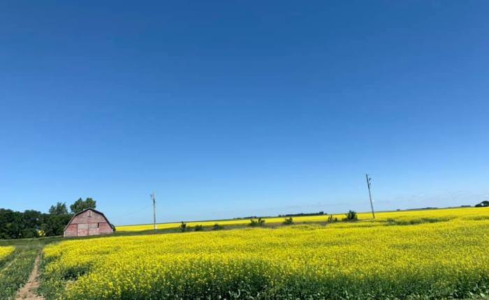 Alaska & Beyond, pt.xxv