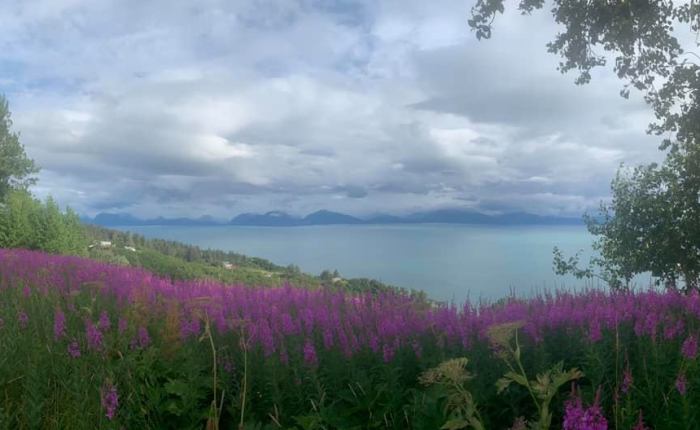 Alaska & Beyond,&nbsp;pt.xviii